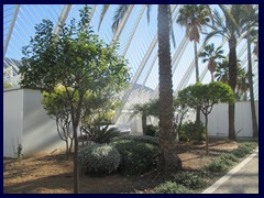 City of Arts and Sciences 034 - L'Umbracle garden walk.